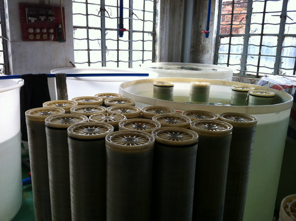 IMG_0978.JPG IMG_0978.JPG