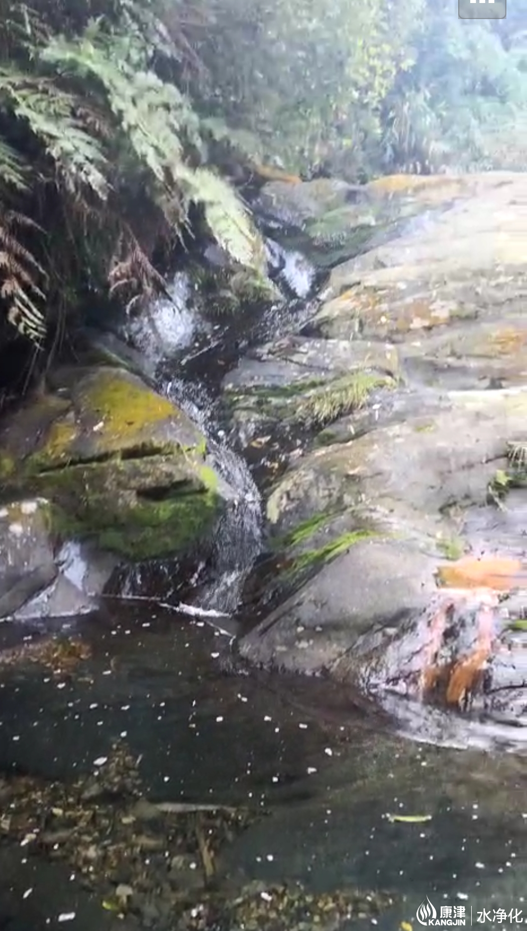 微信圖片_20181130152842.png 微信圖片_20181130152842.png